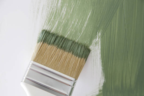 Best Mold Remediation for Rental Properties  in Wayne, OH