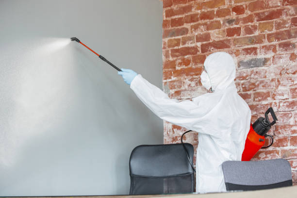 Best Mold Removal for HVAC Installations  in Wayne, OH