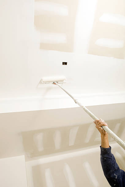 Best Mold Documentation for Insurance Claims  in Wayne, OH