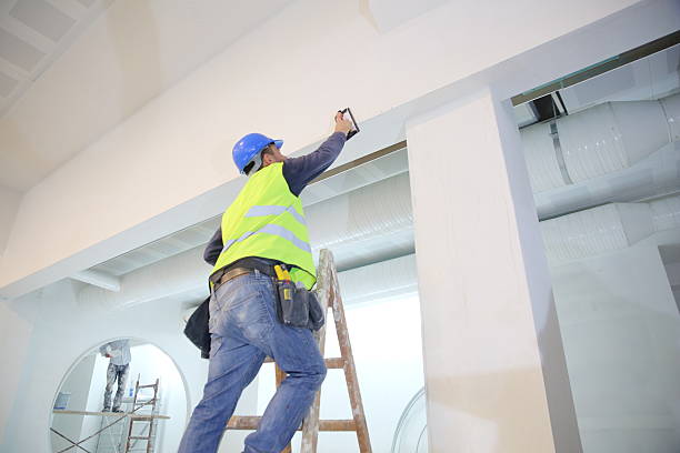 Best Air Quality Testing for Mold Spores  in Wayne, OH